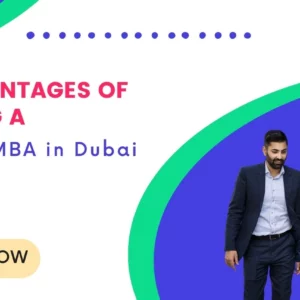 The Advantages of Pursuing a Distance MBA in Dubai - social image - TNEI